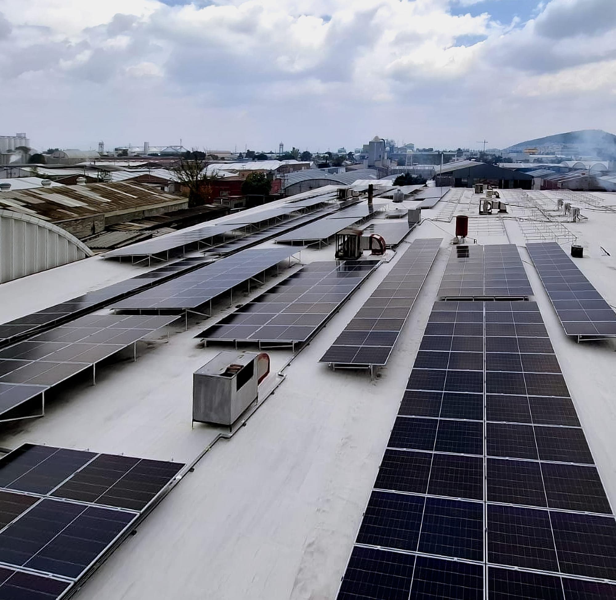 Solar panel array seen across the plant roof